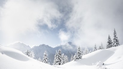 Winterlandschaft mit verschneiten Bäumen und Bergen unter bewölktem Himmel