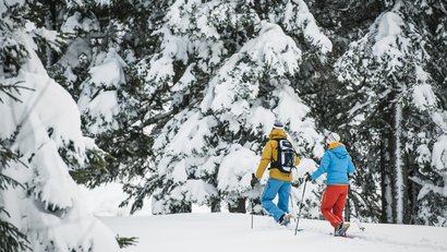 Zwei Personen beim Schneeschuhwandern im verschneiten Wald