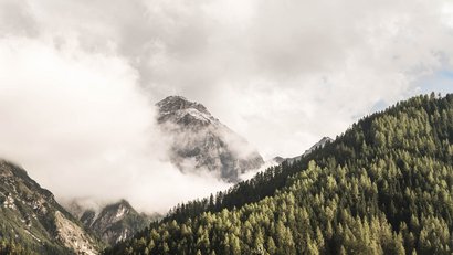 Berggipfel mit Wolken umgeben, bewaldeter Hang im Vordergrund
