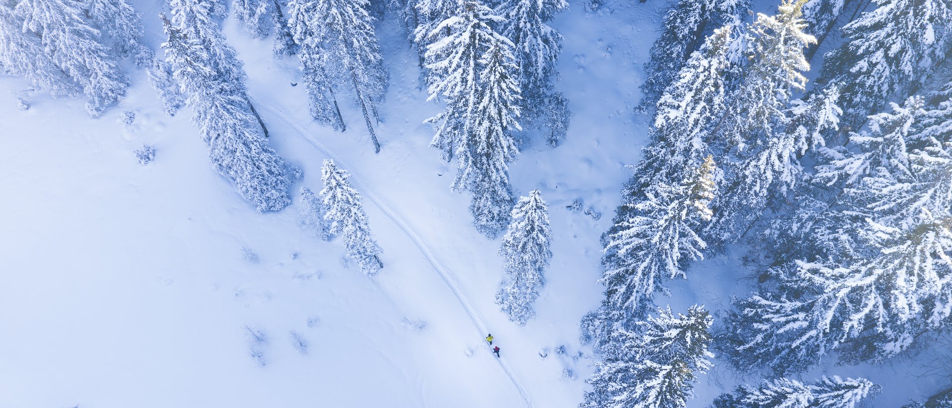 Winterliche verschneite Landschaft mit zwei Personen auf einem Pfad im Wald