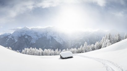 Verschneite Hügel, Bäume und Berggipfel bei Sonnenlicht