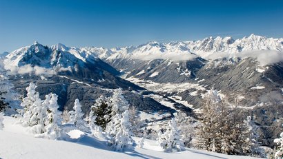 Verschneite Alpenlandschaft mit Tannen und Bergen unter blauem Himmel