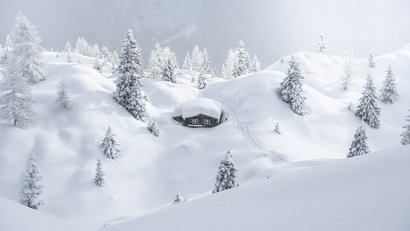 Schneebedeckte Berghütte umgeben von verschneiten Bäumen