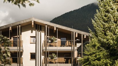 Wohngebäude mit Balkonen vor bewaldetem Berg und grauem Himmel