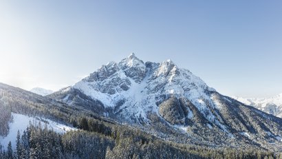 Schneebedeckter Berg und Tannenwald unter klarem blauem Himmel
